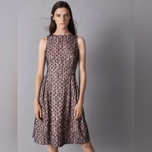 Jason Wu kohls NWT szS Fit Flare black lace beige dress wedding guest Elegant